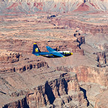 Media Gallery | 2024 Season