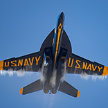 Media Gallery | 2024 Season